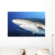 Caribbean Reef Sharks Grand Wall Decal