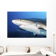 Caribbean Reef Sharks Grand Wall Decal