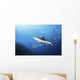 Caribbean Reef Shark Distant Wall Decal
