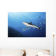 Caribbean Reef Shark Distant Wall Decal