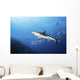 Caribbean Reef Shark Distant Wall Decal