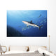 Caribbean Reef Shark Distant Wall Decal
