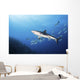 Caribbean Reef Shark Distant Wall Decal