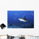 Caribbean Reef Shark Swimming Closer Wall Decal