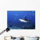 Caribbean Reef Shark Swimming Closer Wall Decal