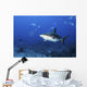 Caribbean Reef Shark Swimming Closer Wall Decal