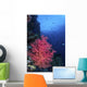 Beautiful Soft Coral Clings Wall Decal