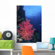 Beautiful Soft Coral Clings Wall Decal