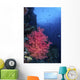 Beautiful Soft Coral Clings Wall Decal
