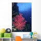 Beautiful Soft Coral Clings Wall Decal