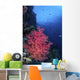Beautiful Soft Coral Clings Wall Decal