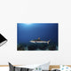 Reef Shark Swims over Wall Decal