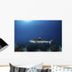 Reef Shark Swims over Wall Decal