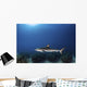 Reef Shark Swims over Wall Decal