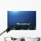 Reef Shark Swims over Wall Decal