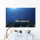Reef Shark Swims over Wall Decal