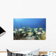 School Fish Grand Bahama Wall Decal