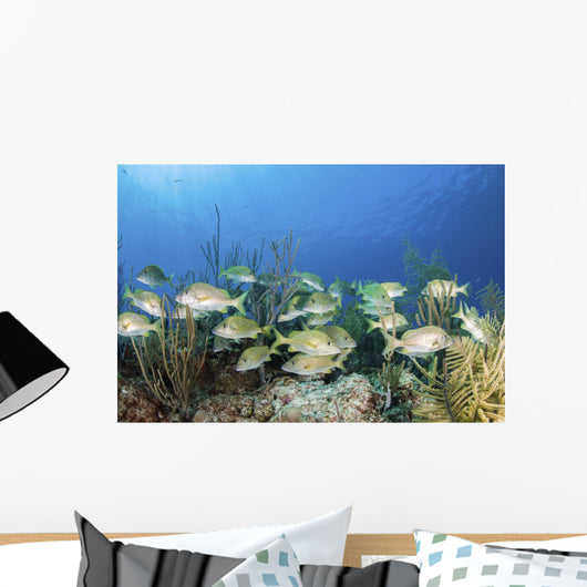 School Fish Grand Bahama Wall Decal