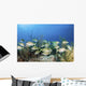 School Fish Grand Bahama Wall Decal