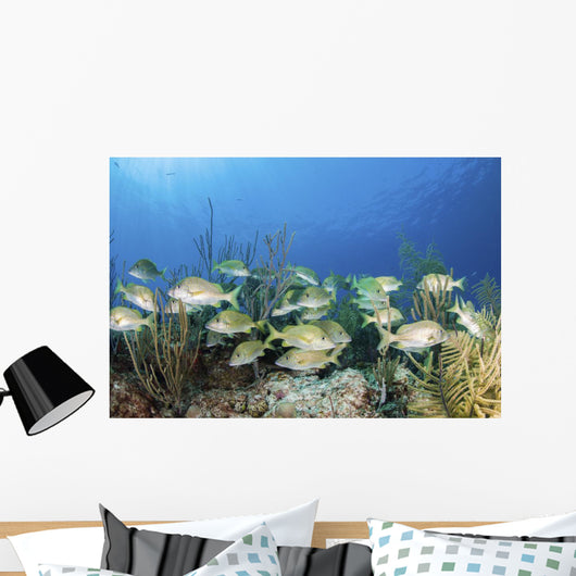 School Fish Grand Bahama Wall Decal