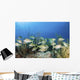 School Fish Grand Bahama Wall Decal