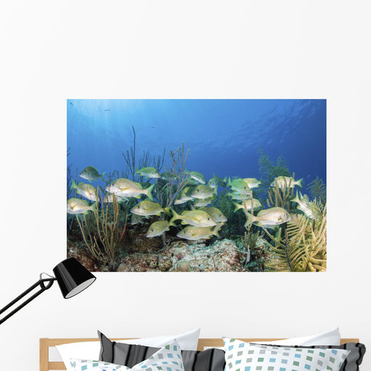 School Fish Grand Bahama Wall Decal