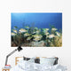 School Fish Grand Bahama Wall Decal