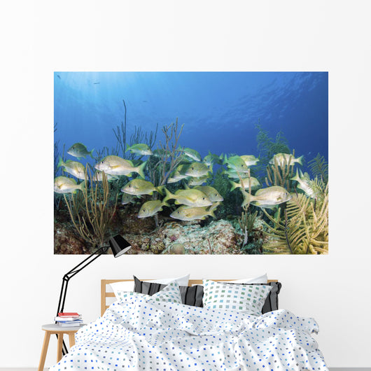 School Fish Grand Bahama Wall Decal