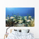 School Fish Grand Bahama Wall Decal