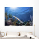 Trumpetfish Portrait Grand Bahama Wall Decal