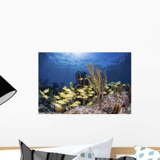 Fish Schooling over Caribbean Wall Decal