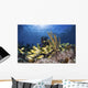 Fish Schooling over Caribbean Wall Decal