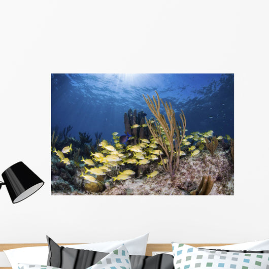Fish Schooling over Caribbean Wall Decal