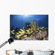 Fish Schooling over Caribbean Wall Decal