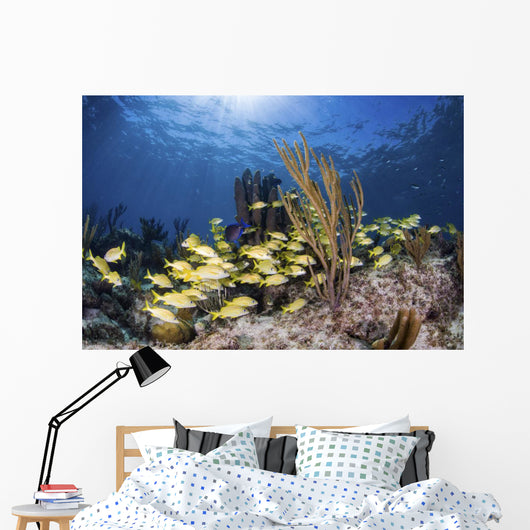 Fish Schooling over Caribbean Wall Decal