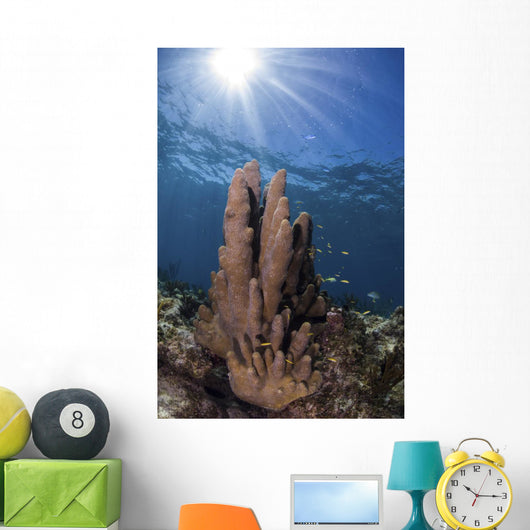 Sunbeams Shine through Water Wall Decal