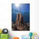 Sunbeams Shine through Water Wall Decal