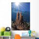 Sunbeams Shine through Water Wall Decal