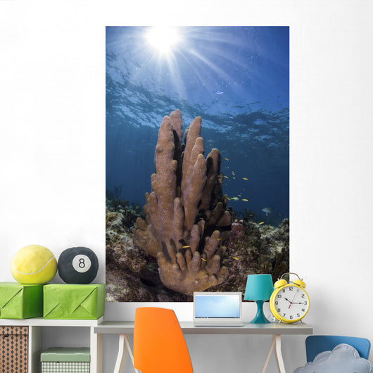 Sunbeams Shine through Water Wall Decal