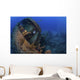 Sunken Ship Lays Its Wall Decal