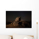 Boulder Outcropping Anza Borrego Wall Decal
