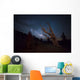Large Bristlecone Pine Patriarch Wall Decal