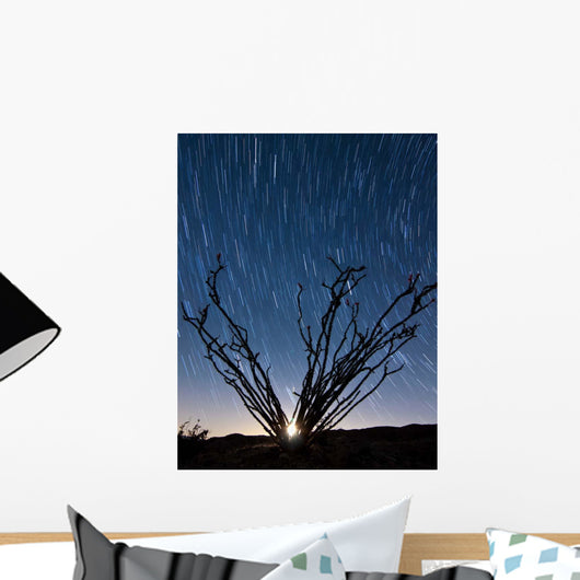 Setting Moon Is Visible Wall Decal