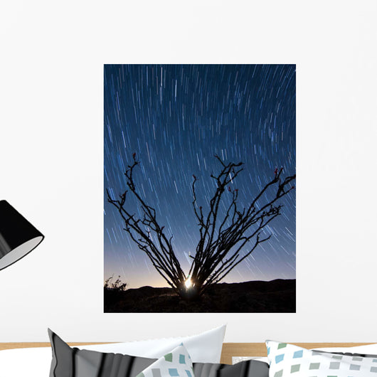 Setting Moon Is Visible Wall Decal