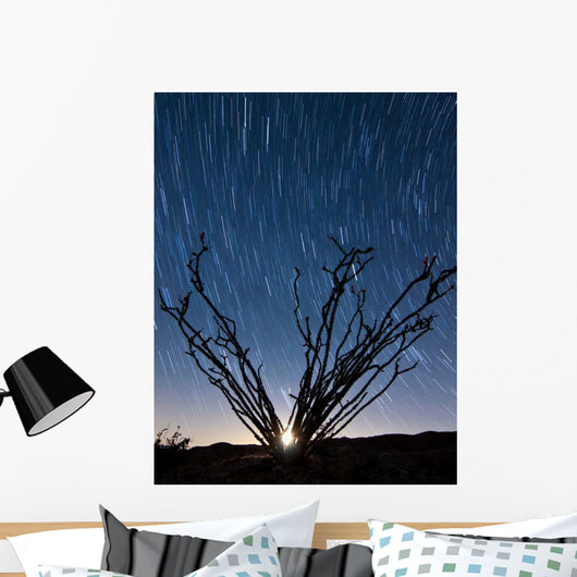 Setting Moon Is Visible Wall Decal