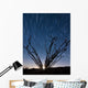 Setting Moon Is Visible Wall Decal