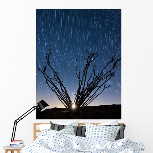 Setting Moon Is Visible Wall Decal