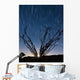 Setting Moon Is Visible Wall Decal