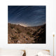 Star Trails over Rugged Wall Decal