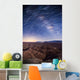 Milky Way above Borrego Wall Decal